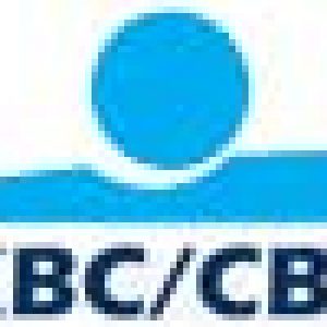 KBC/CBC betaalknop PuzzleMuzzle