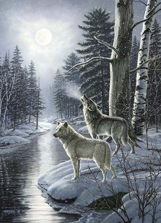 Wolves by Moonlight 1000 stukjes puzzel
